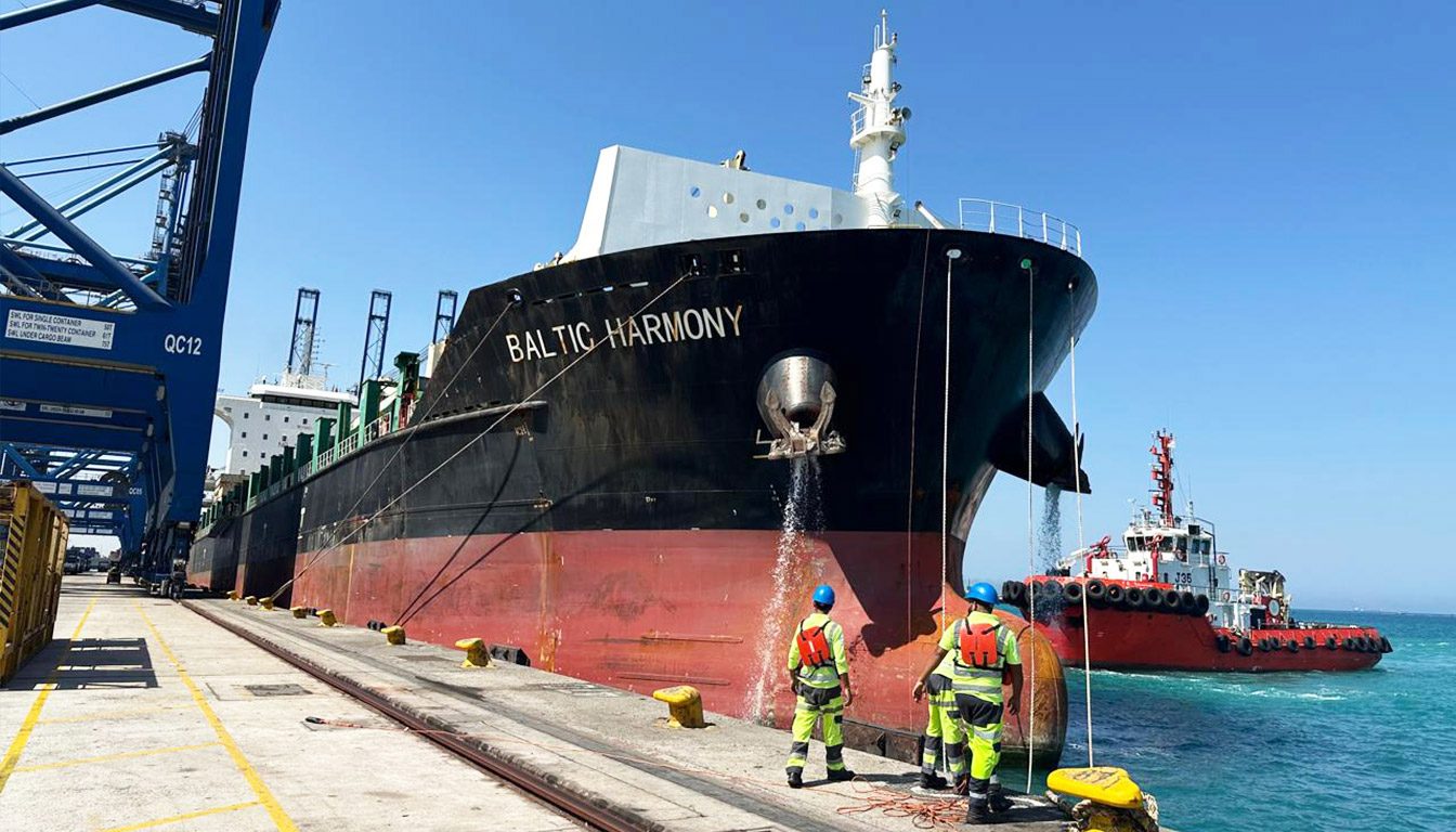 Ocean freight forwarding in Saudi Arabia — BAFCO FCL, LCL, Ro-Ro and break-bulk sea freight